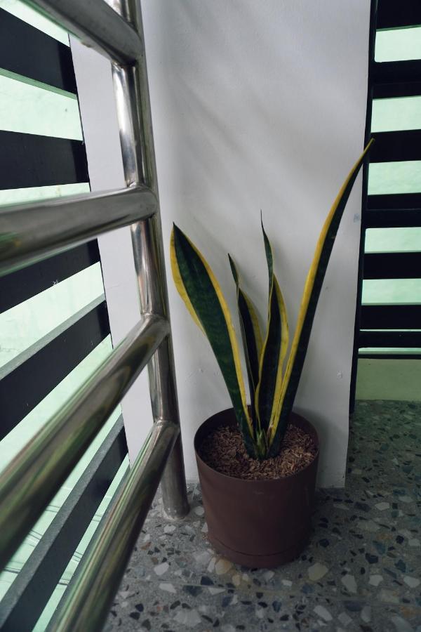Cebu Backpackers Hostel מראה חיצוני תמונה